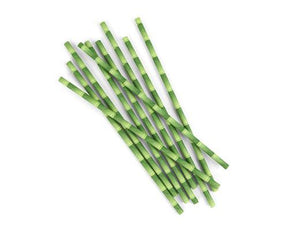 Paper Straws + Bamboo 144 Per Box