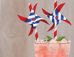 Pin Wheel Paper Straws