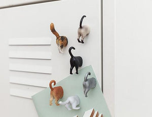 Cat Butt Magnets Set Of 6